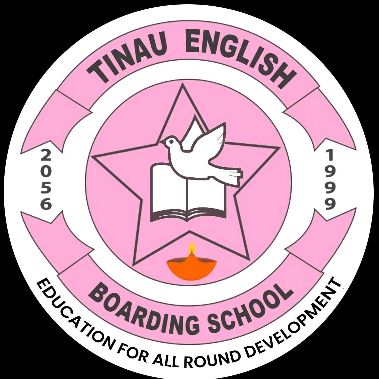 Tinau English Boarding School logo